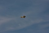 IMG 0696